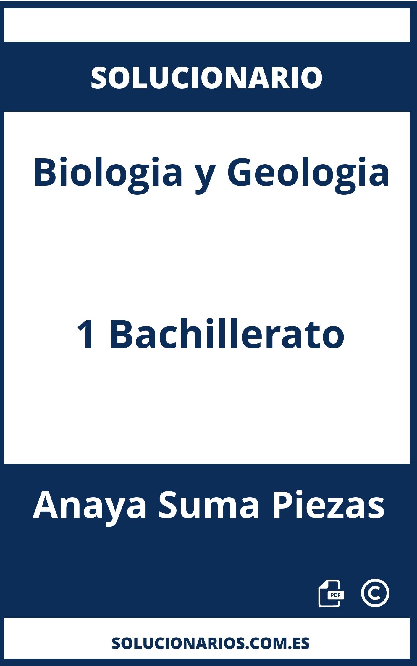 Solucionario De Biologia Y Geologia 1 Bachillerato Anaya Suma Piezas